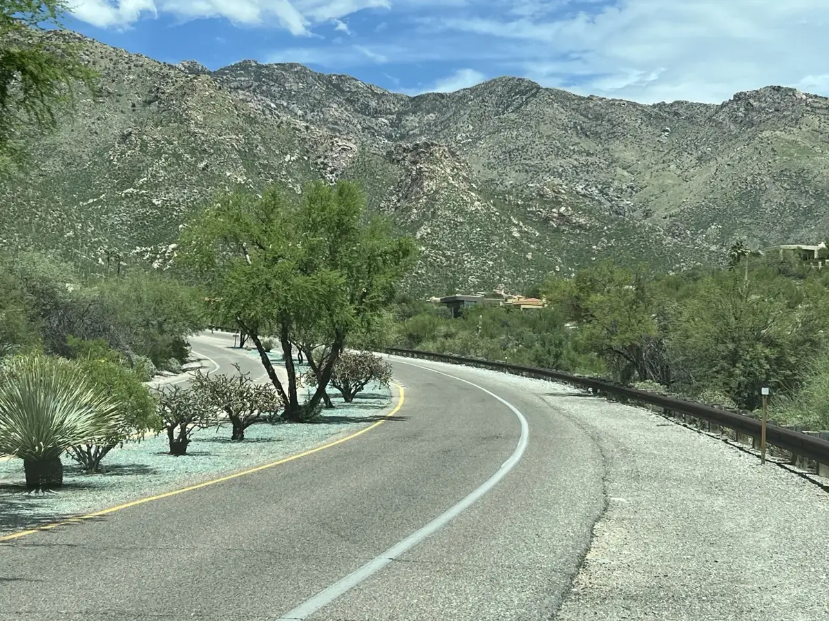 HOA community roadway and desert landscaping