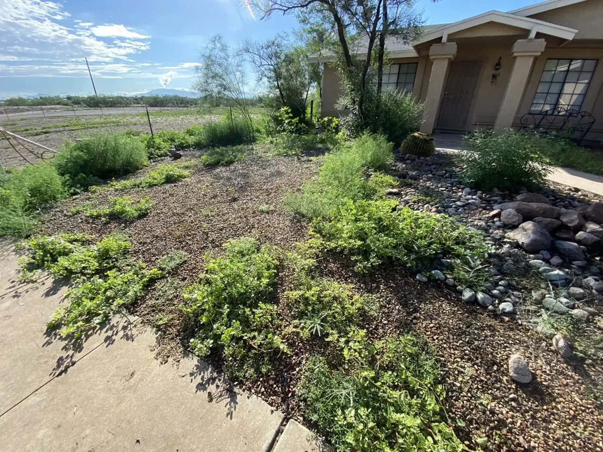 Residential property photo · view 11