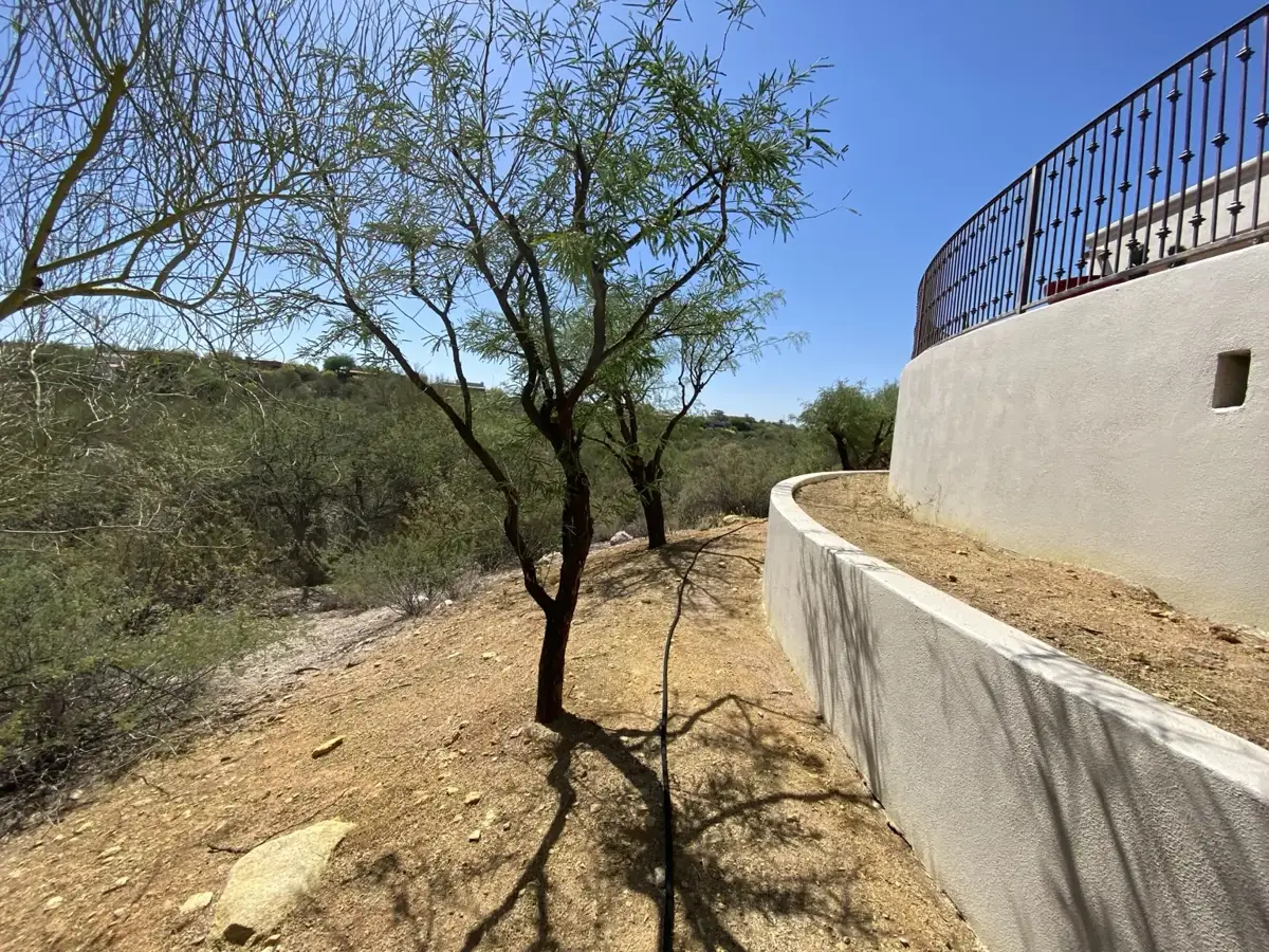 Residential yard and perimeter treatment area