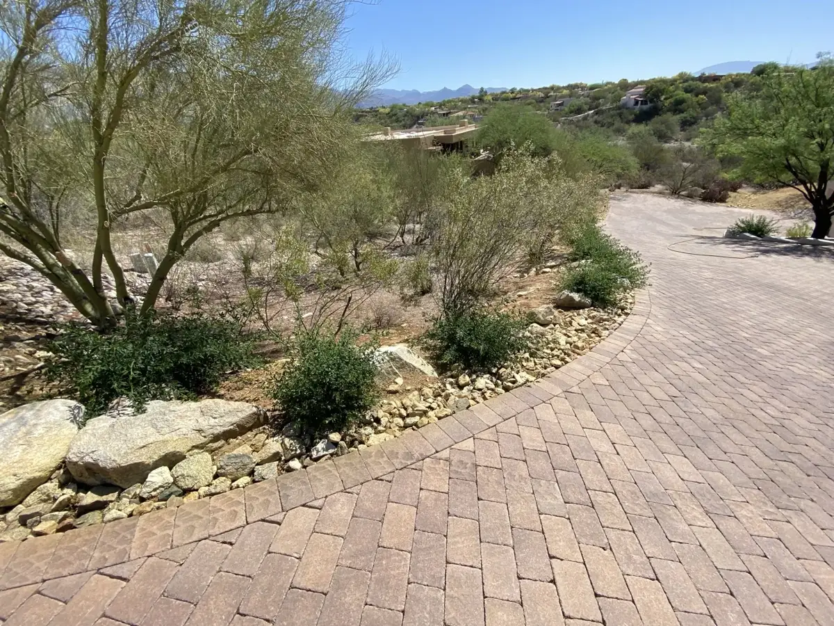 Residential property photo · view 23