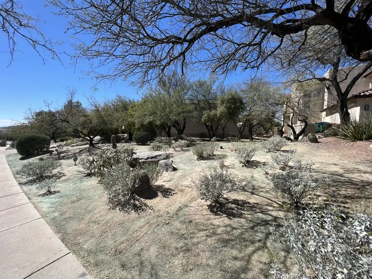 Residential property photo · view 33