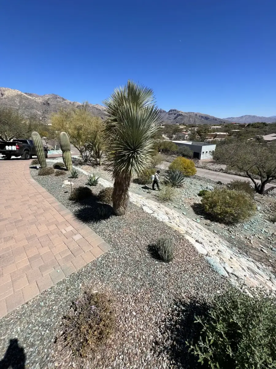 Residential property photo · view 54