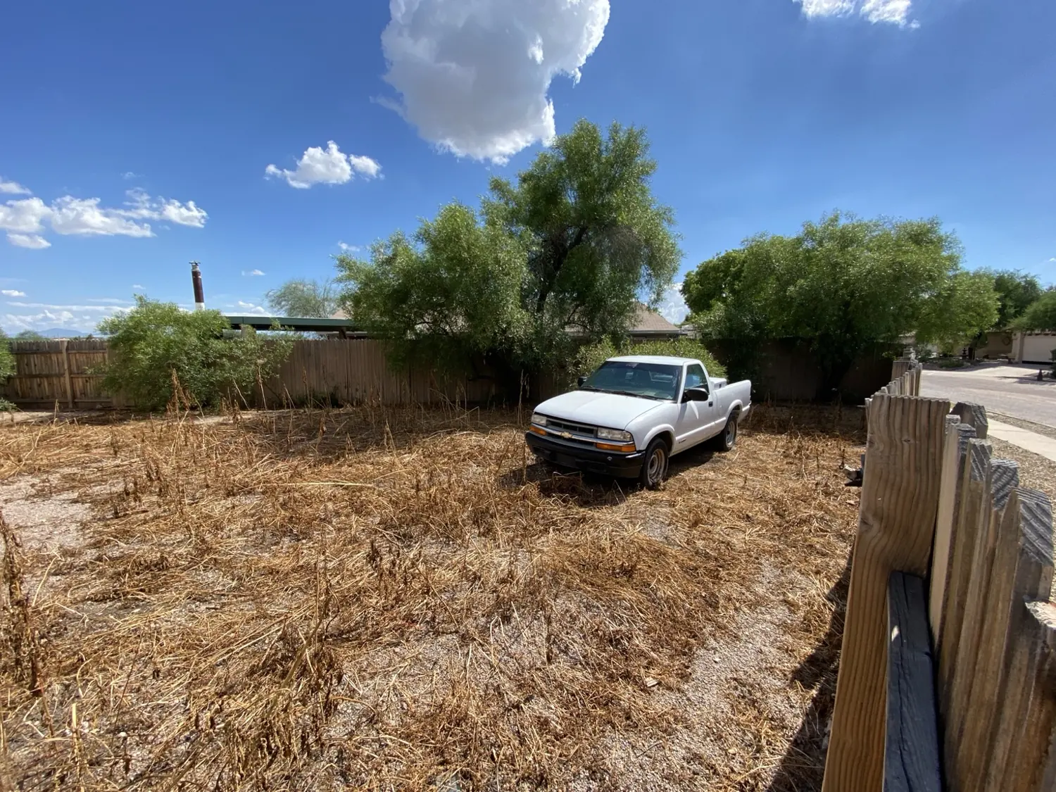 Same property with browned treated weeds near the pickup truck
